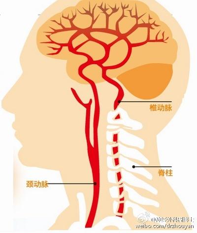 我为什么会&ldquo;晕&rdquo;？ &ldquo;了解眩晕&rdquo;是正确认识&ldquo;眩晕&rdquo;的重要开始