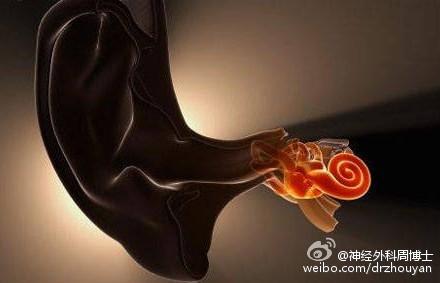 我为什么会&ldquo;晕&rdquo;？ &ldquo;了解眩晕&rdquo;是正确认识&ldquo;眩晕&rdquo;的重要开始