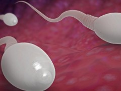 ​男性不育与哪些因素有关？长期熬夜会导致精子发育不良吗？