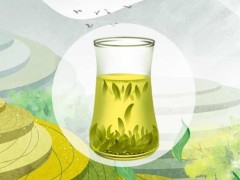 夏天喝什么茶对身体好 适合夏天饮用的茶