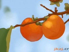 牛奶和柿子能一起吃吗  柿子好吃但“吃错能要命”？