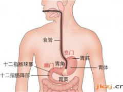 女人吃无花果的好处 无花果的营养价值