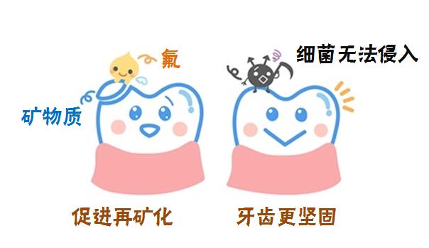 涂氟的作用