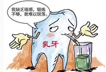 食物过于精细