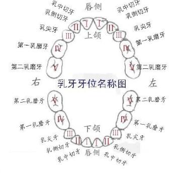窝沟封闭好不好