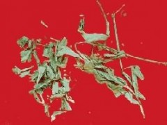 鸭跖草的功效与作用