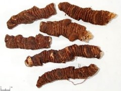 重楼的功效与作用