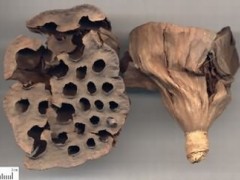 莲房的功效与作用