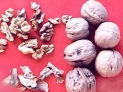 分心木的功效与作用