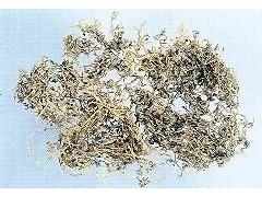 鹅不食草的功效与作用