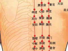 背穴，背穴准确位置图和作用及功效