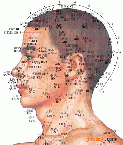 脑空穴：胆经(图文)