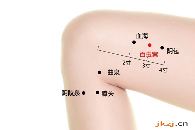百虫窝位置图