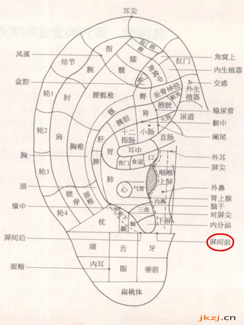 屏间前耳穴 屏间前耳穴