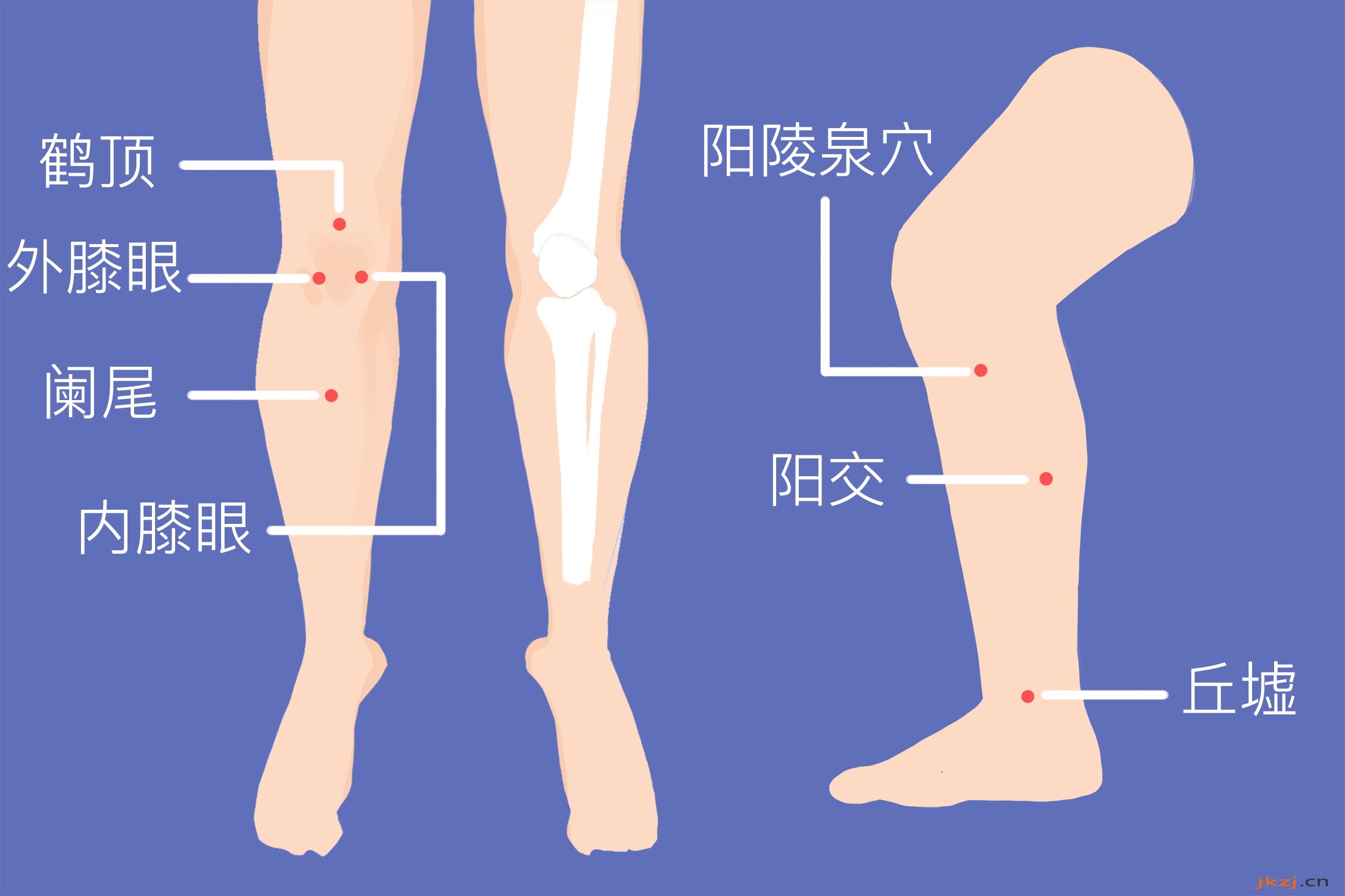 膝三针准确位置图