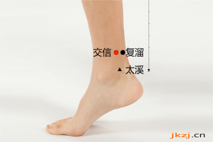 交信位置图