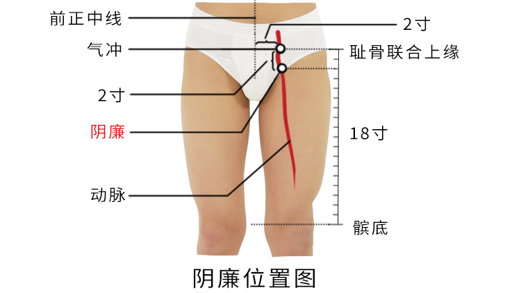 阴廉穴准确位置图