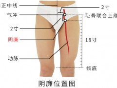 阴廉穴，阴廉穴准确位置图和作用及功效