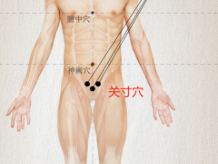 关寸穴，关寸穴准确位置图和作用及功效