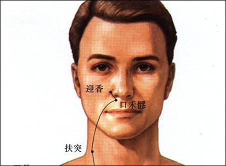 点击查看口禾髎的大图