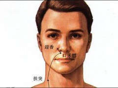 口禾髎穴，口禾髎穴准确位置图和作用及功效