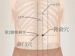 腰三穴，腰三穴准确位置图和作用及功效