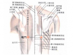 魂门穴，魂门穴准确位置图和作用及功效
