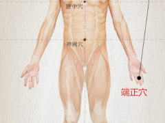 端正穴，端正穴准确位置图和作用及功效