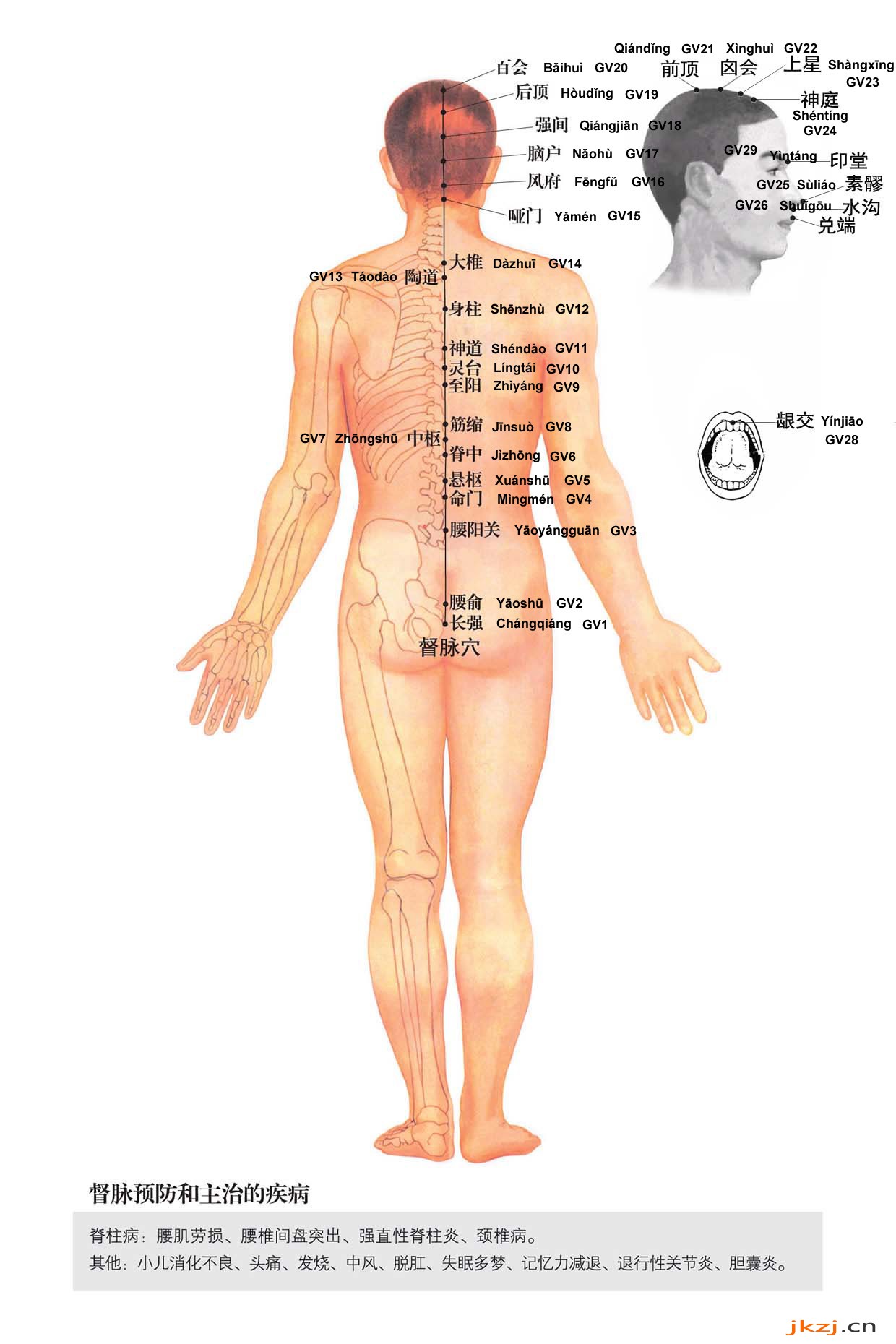 <a href=<i></i>'https://www.fane8.com/book/599/54196.html<i></i>' target=<i></i>'_blank<i></i>'>督脉</a>