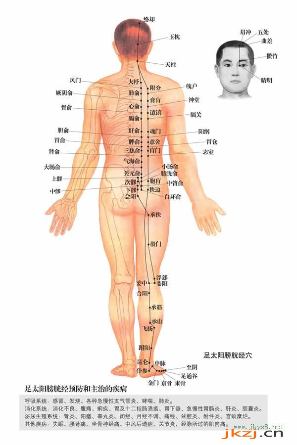 昆仑穴：膀胱经(图文)