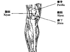 三膝穴，三膝穴准确位置图和作用及功效