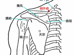 肩外俞穴，肩外俞穴准确位置图和作用及功效