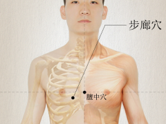 步廊穴，步廊穴准确位置图和作用及功效