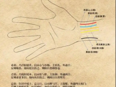 六筋穴，六筋穴准确位置图和作用及功效