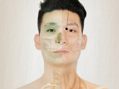上睛明穴，上睛明穴准确位置图和作用及功效