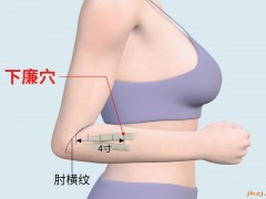 下廉穴，下廉穴准确位置图和作用及功效