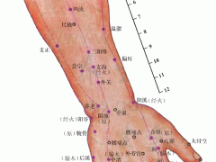 会宗穴，会宗穴准确位置图和作用及功效