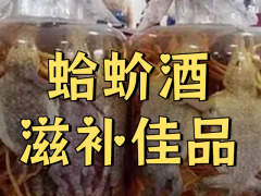 蛤蚧酒(治疗阳痿药酒配方)