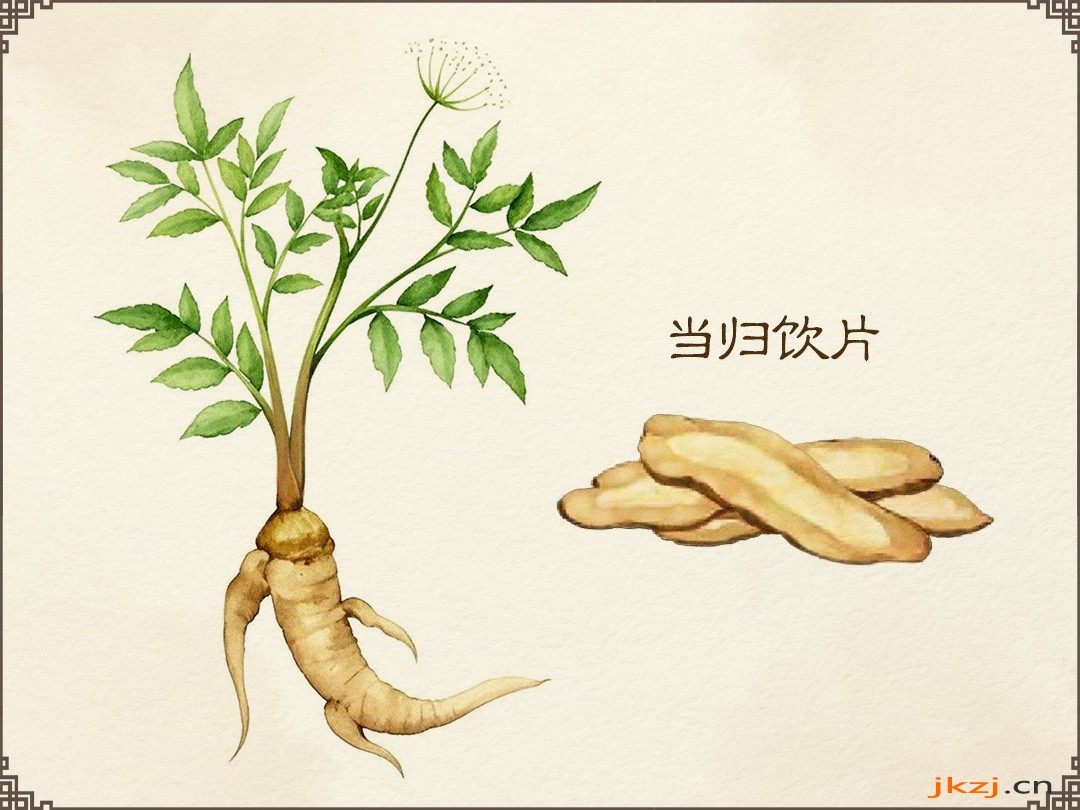 当归