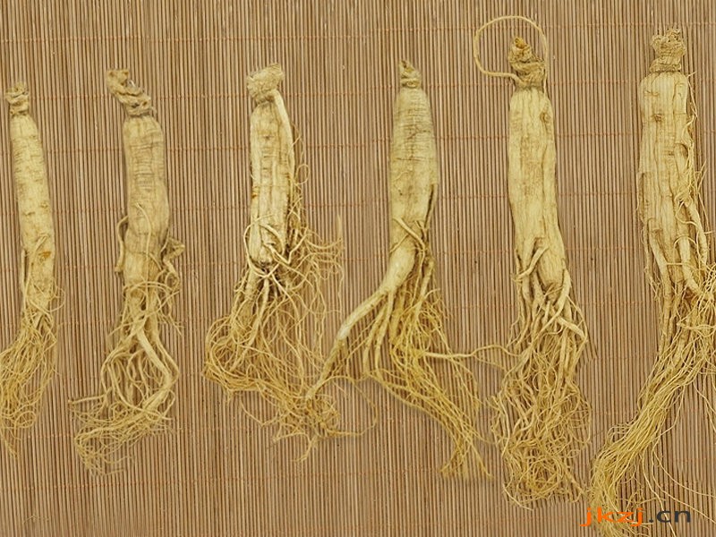 人参