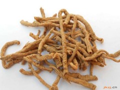 远志的功效与作用，远志的图片，远志用法及注意事项