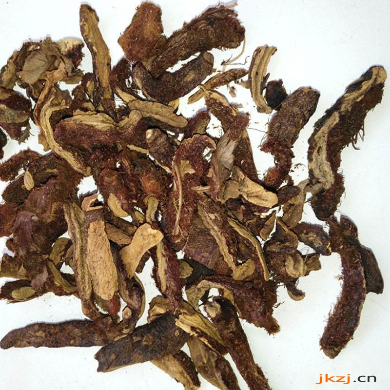 骨碎补