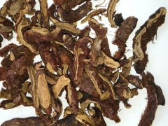 骨碎补的功效与作用，骨碎补的图片，骨碎补用法及注意事项