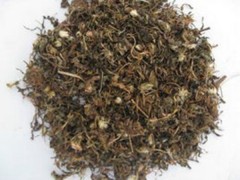 蒲公英的功效与作用，蒲公英的图片，蒲公英用法及注意事项