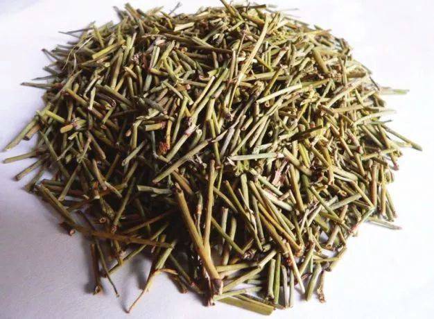 麻黄草
