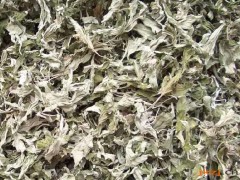 艾叶的功效与作用，艾叶的图片，艾叶用法及注意事项