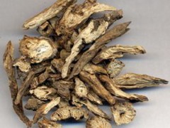 白头翁的功效与作用，白头翁的图片，白头翁用法及注意事项
