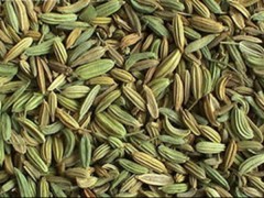 小茴香的功效与作用，小茴香的图片，小茴香用法及注意事项