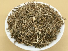 垂盆草的功效与作用，垂盆草的图片，垂盆草用法及注意事项