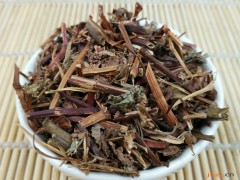 杠板归的功效与作用，杠板归的图片，杠板归用法及注意事项